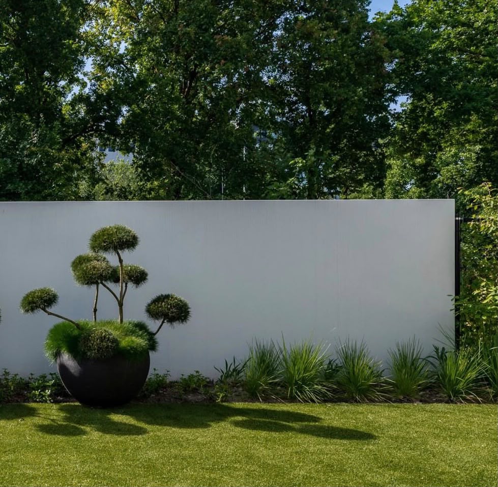 Verkoop · sierboom in designpot