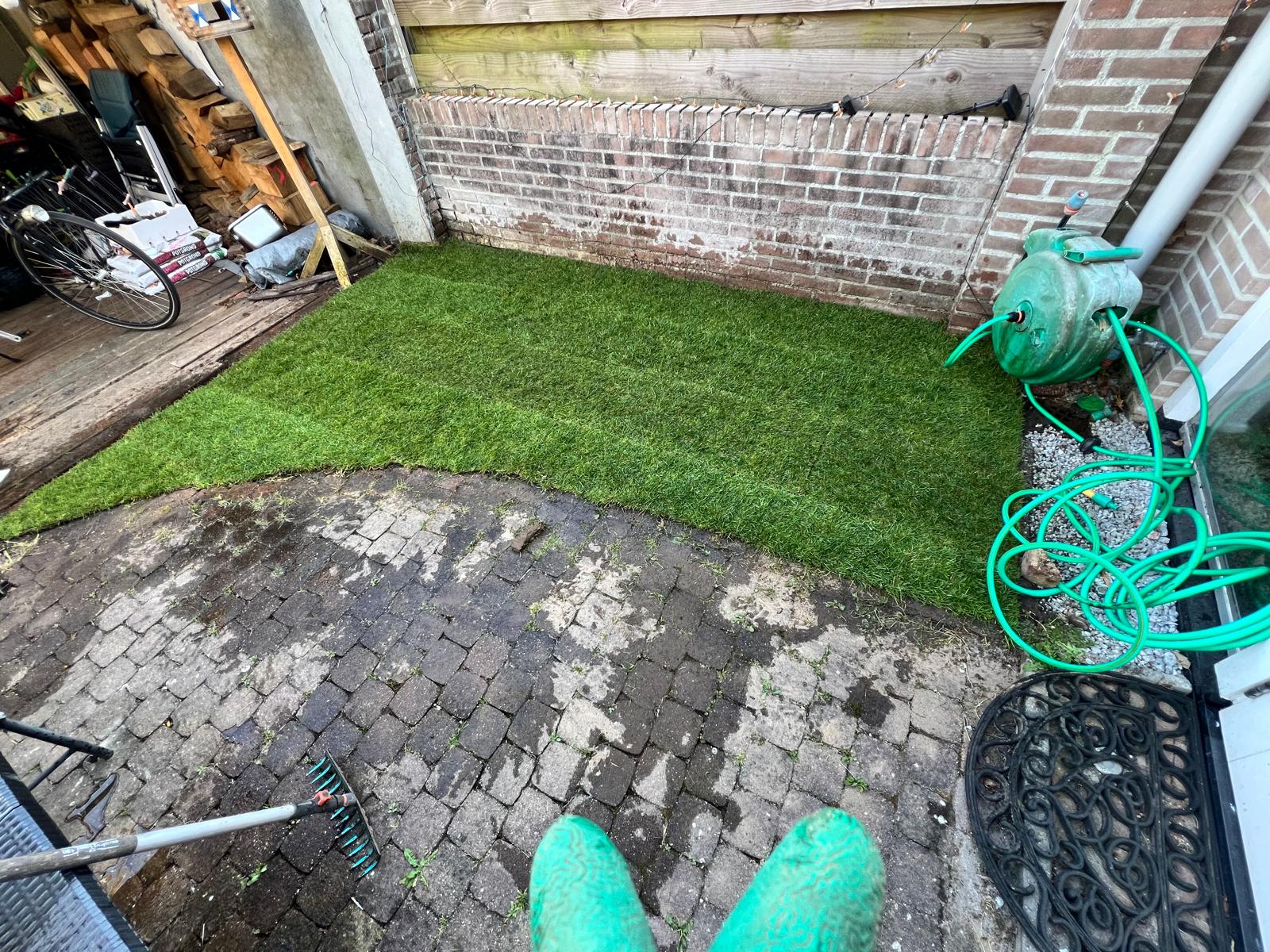 Vers aangelegde graszoden