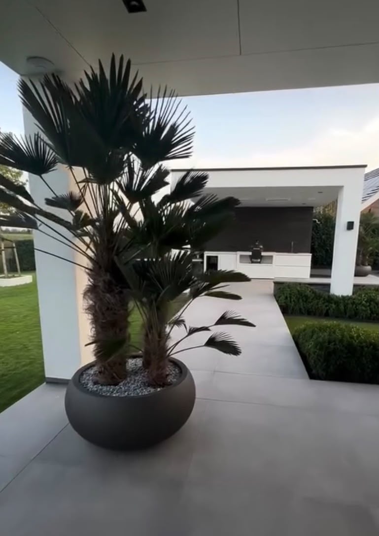 Tuininrichting met sierbeplanting