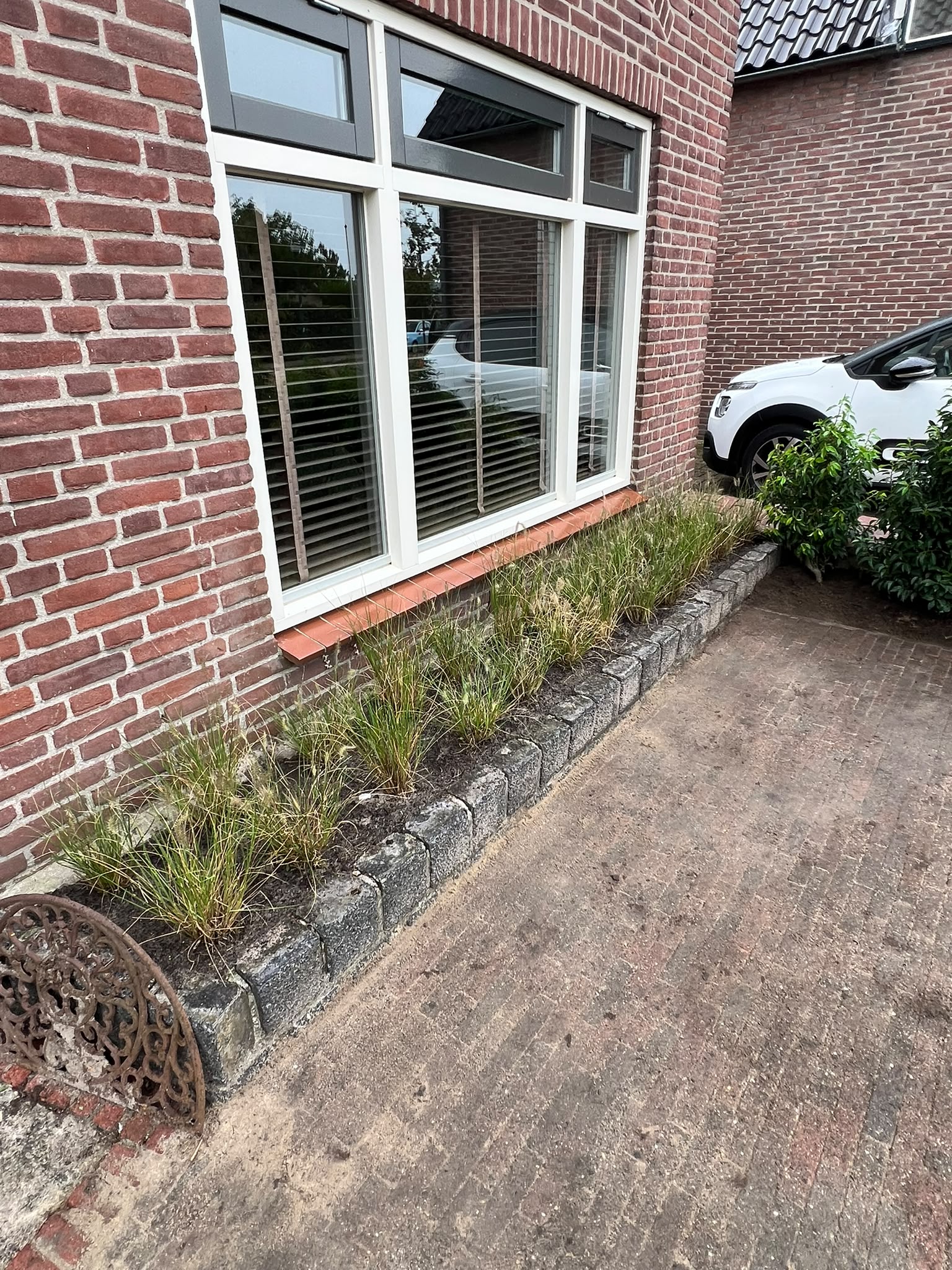 Voortuin in aanleg met siergrassen op maaiveld uitgezet