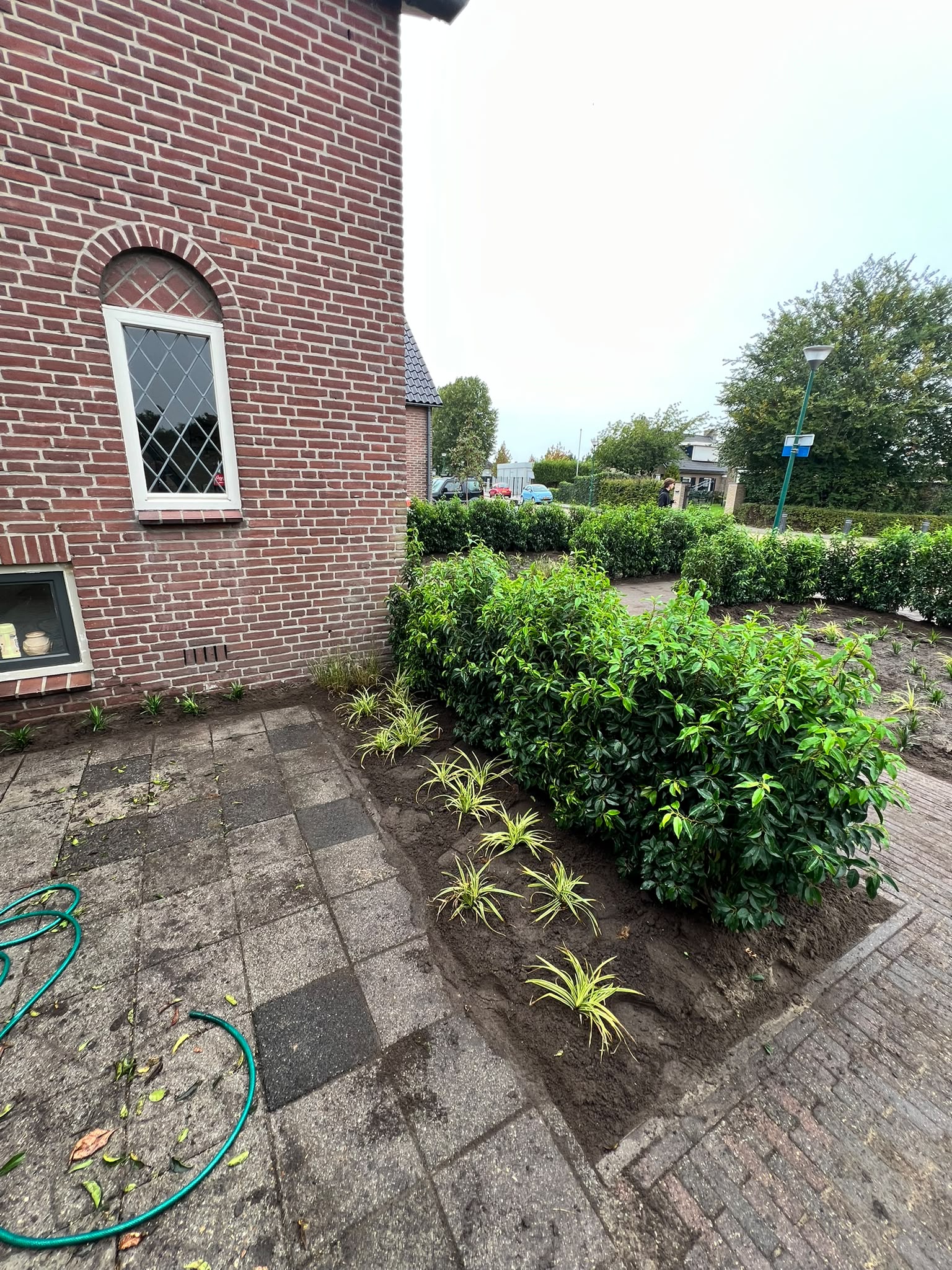 Siergrassen langs de gevel in een voortuin