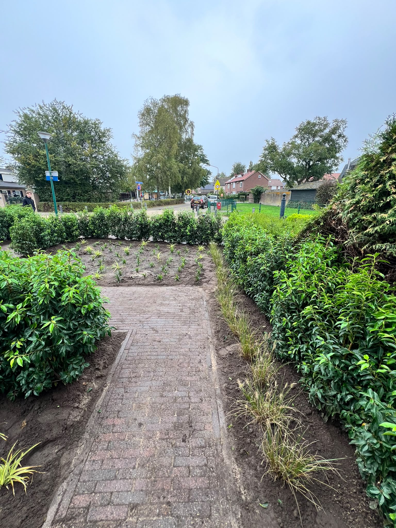 Voortuin met volgroeide laurierhaag en siergrassen